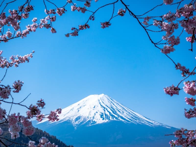 Mount Fuji